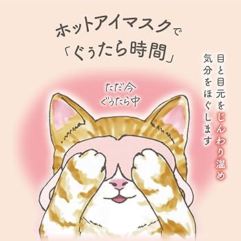 Amazon.co.jp: ネコのきもち ニャンわり蒸気のぐぅたらアイ